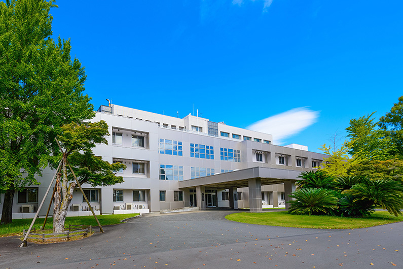 NIG Postdoctoral Fellowship 2025-2026 National Institute of Genetics