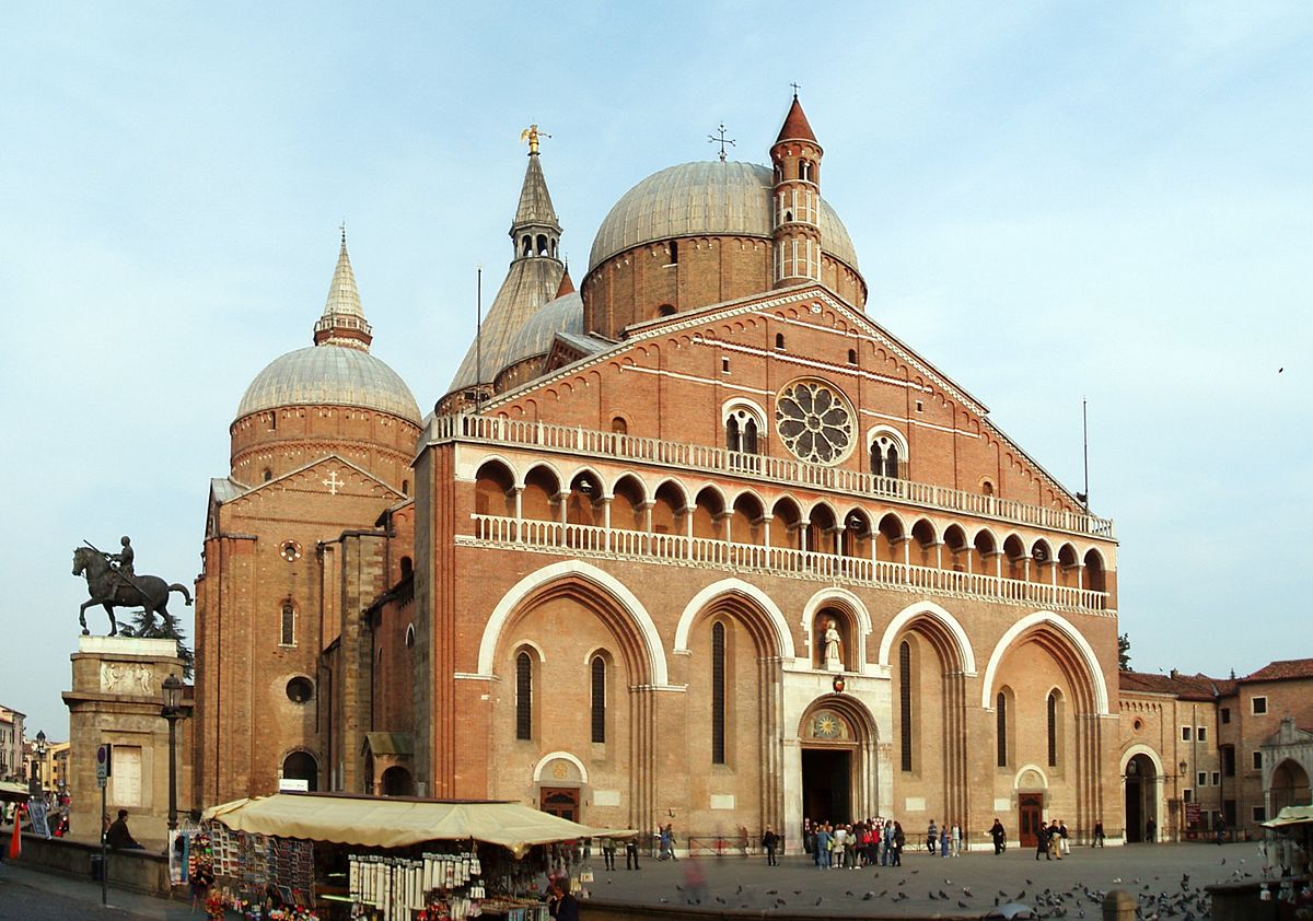 Padua International Excellence Scholarship [NEXTYEAR] Fully Funded Favicon